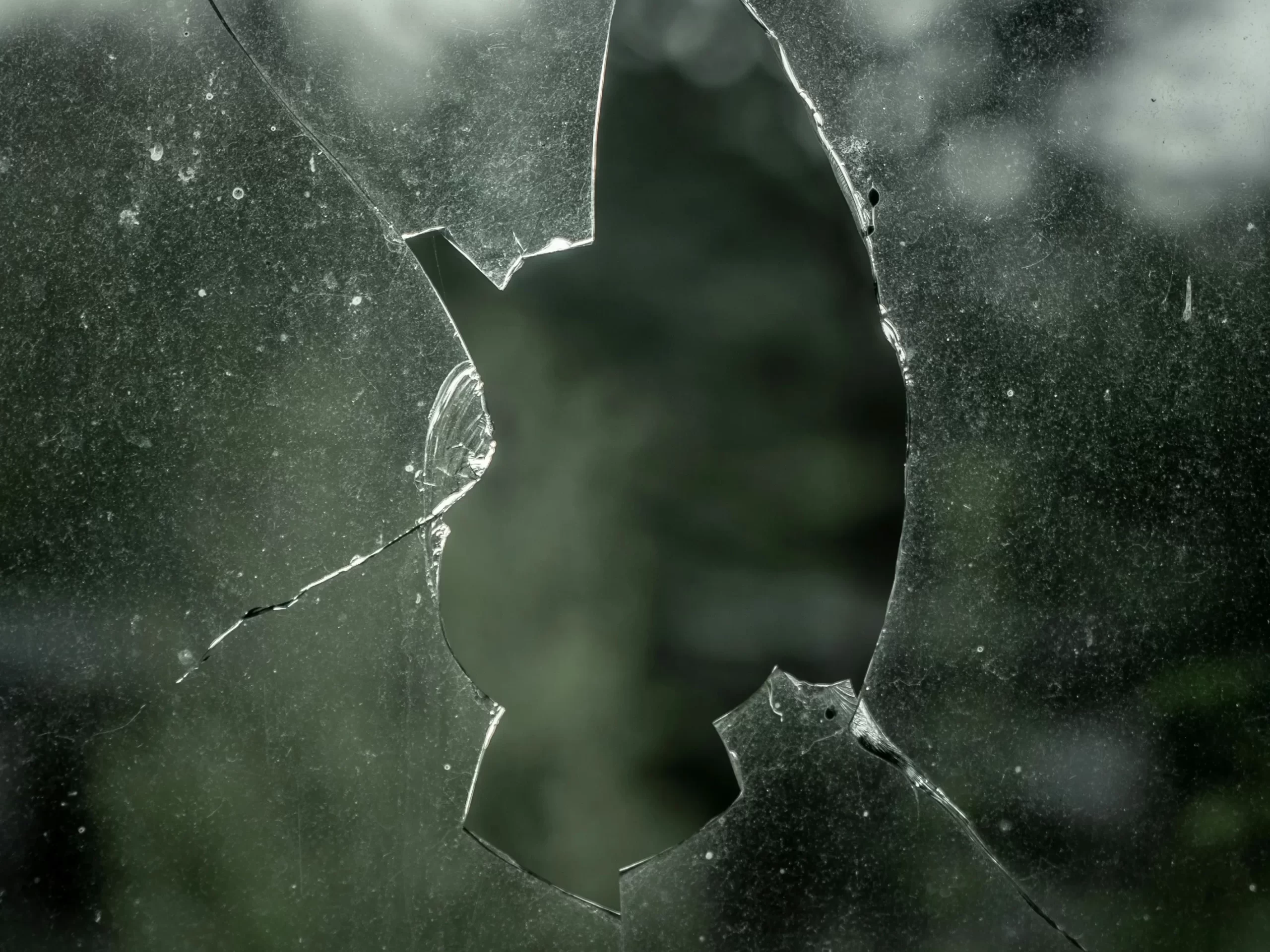 Entrada2025¿Quémásqueda?_EricaOrtega 5